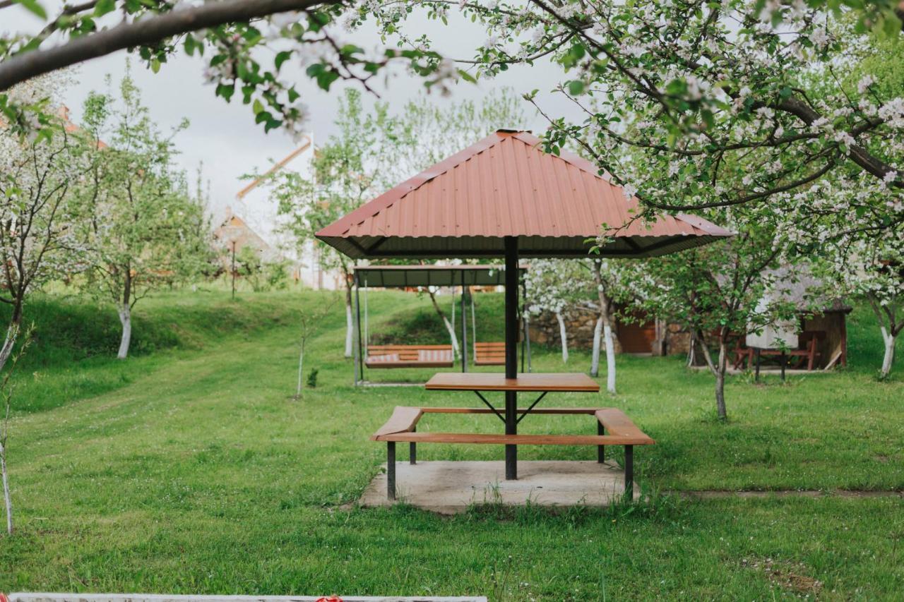 Hotel У Оксани à Solochyn Extérieur photo