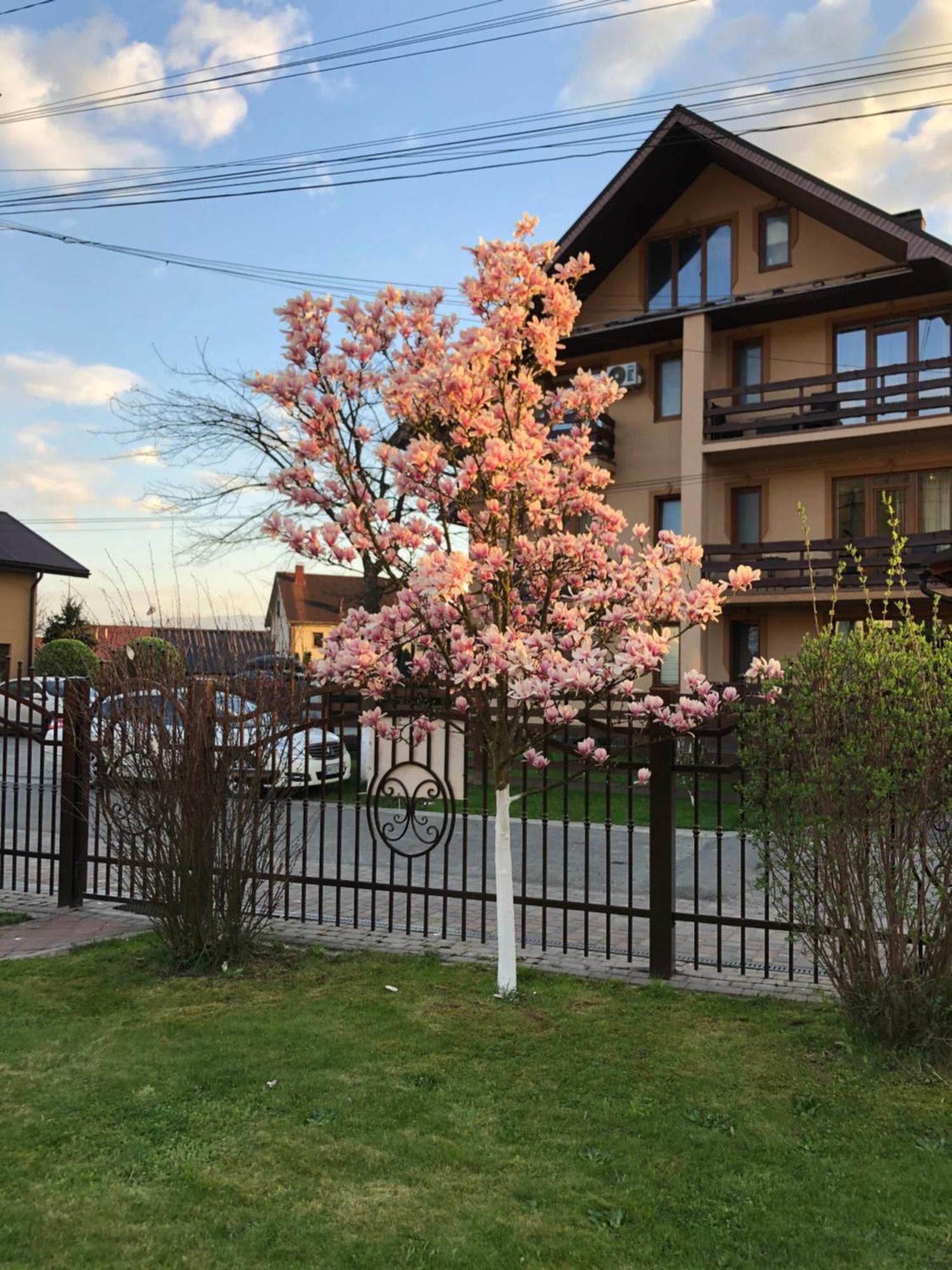 Hotel У Оксани à Solochyn Extérieur photo